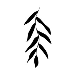 Minimalist Botanical Leaves Vector Illustration