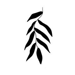 Minimalist Botanical Leaves Vector Illustration