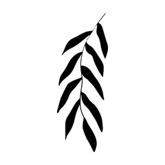 Minimalist Botanical Leaves Vector Illustration
