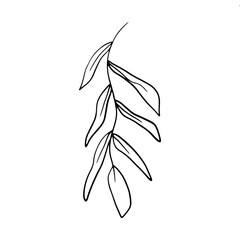 Minimalist Botanical Leaves Vector Illustration