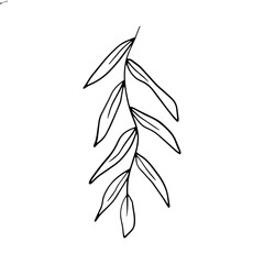 Minimalist Botanical Leaves Vector Illustration