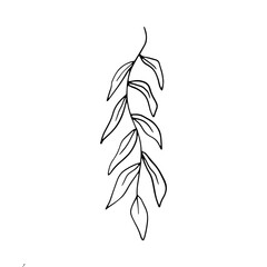 Minimalist Botanical Leaves Vector Illustration