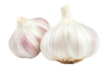 Obraz premium Two fresh garlic bulbs with purple stripes isolated on white background, cut out