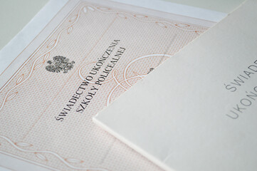 Polish Post-Secondary School Diploma: Language Skills Matter More