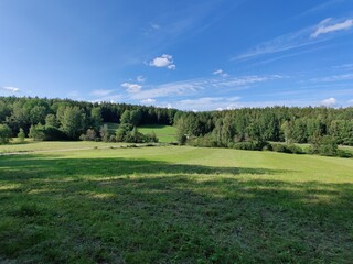 Contryside with green grass