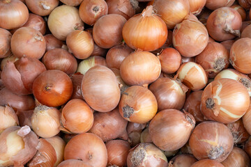 Pile of Fresh Yellow Onions at Market
Large group of unpeeled yellow onions stacked together, showcasing fresh produce ideal for cooking, markets, or agricultural themes.
