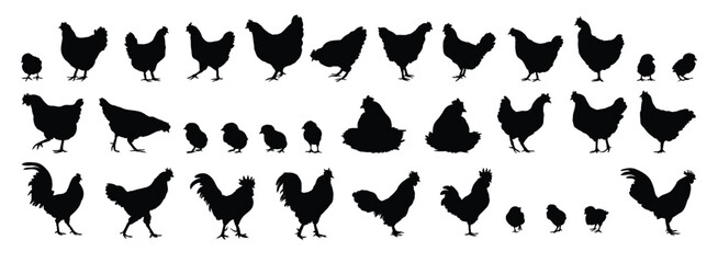 hen or chicken, rooster and chicks silhouette set. hen, rooster and chicks isolated farm animal silhouette icon vector collection © Yanka
