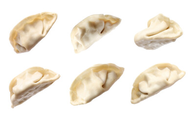 Set of uncooked gyoza on white background