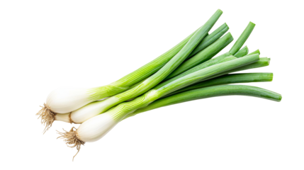 Bunch of fresh green onions, cut out transparent