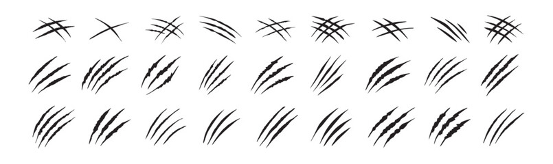 Claw scratches isolated. Black Bear tiger claws trails, animal scratched white paper. Flat scratch marks, racy wild beast tracks clipart