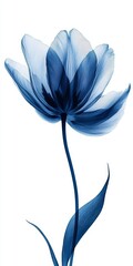 Elegant Blue Flower Design