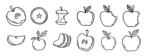  apple doodle hand drawn icon set. Outline drawing apple line clipart symbol collection
