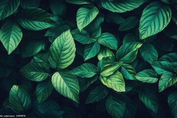 Fototapeta premium Textured leaf background, close-up, top view, in a dark green tone