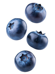 Obraz premium blueberries