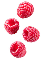 raspberry