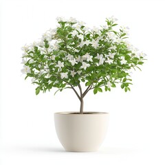 Beautiful Flowering Plant Display