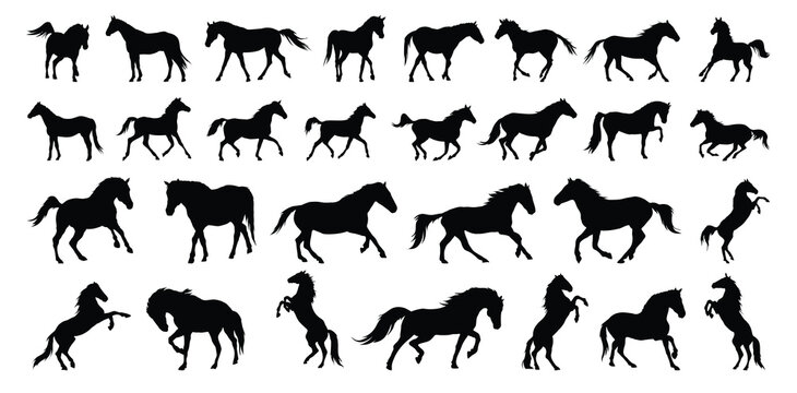 horse silhouette set. horse different poses isolated farm animal silhouette icon vector collection