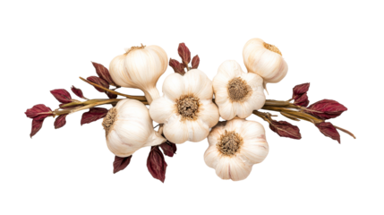 Garlic cloves with maroon leaves display, floral design, cut out transparent