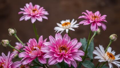 Obraz premium Vibrant Pink and White Flowers