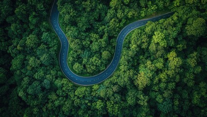 Winding road through lush forest canopy. High angle view of a twisting asphalt road snaking through a dense green forest