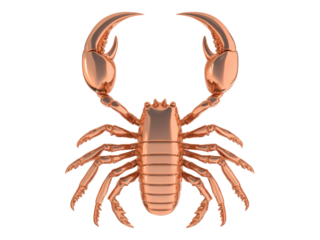 Copper Scorpion with Detailed Anatomy and Claws