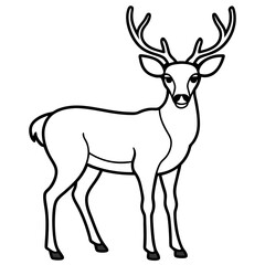 Obraz premium Wild deer silhouette vector illustration depicts a nature animal with antlers
