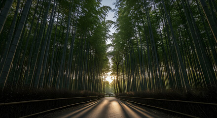 Bamboo Forest Pathway At Sunset