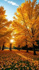 Naklejka premium Vibrant fall foliage illuminates a serene park as sunlight filters through golden trees in autumn