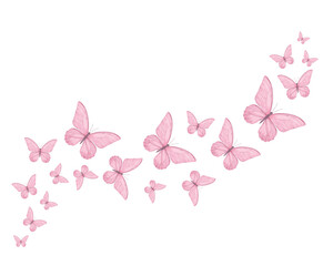 set of butterflies pink butterfly	