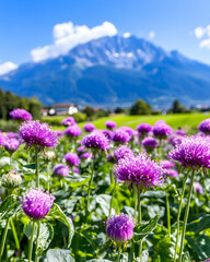 Obraz premium Vibrant purple wildflowers bloom in a field, majestic mountains in the background under a clear blue sky