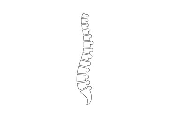 Spine medical poster