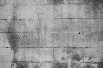 A close-up of a textured white wall with subtle imperfections and roughness. The uneven surface...