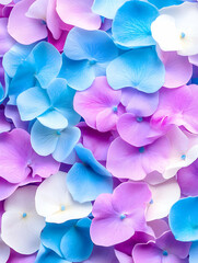 Pastel-colored flower petals background