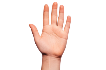 Human palm with outstretched fingers on background, cut out transparent