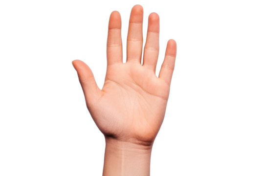 Human palm with outstretched fingers on background, cut out transparent