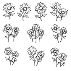 Sunflower line drawing set
