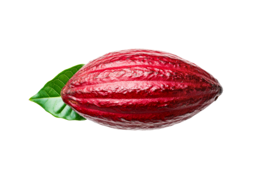 Red cacao pod with green leaf, chocolate ingredient, cut out transparent