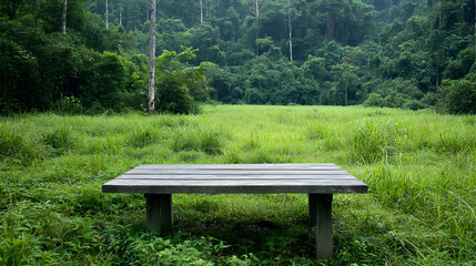 Wooden Bench On Grassy Field Under Heavy Rain With Lush Green Trees In Background