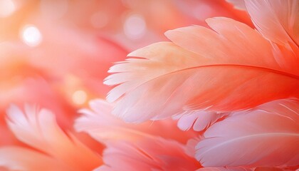 Soft Coral Feathers: A Gentle, Dreamy Abstract