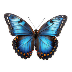 Fototapeta premium A butterfly with electric blue wings isolated on transparent background
