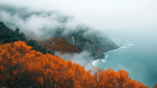 Coastal Autumn Landscape with Fog