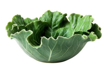 Artistic green cabbage bowl, healthy food decoration concept, cut out transparent
