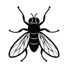 vector illustration of fly