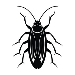 vector illustration of a  cockroach 