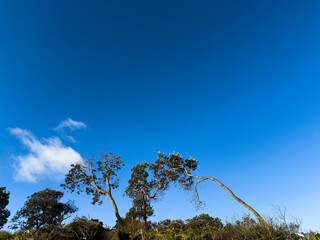 Coolum Beach, Sunshine Coast, Queensland, Australia