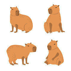 Capybara cute set. Vector capybaras cartoon characters isolated on white