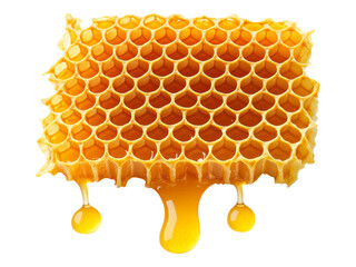 Fresh Honeycomb with Golden Honey Dripping Below