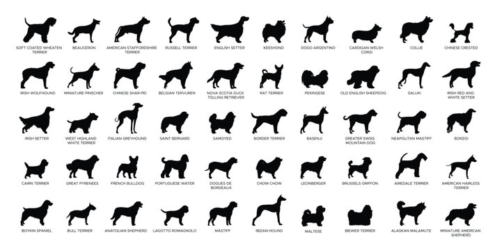 Dog Breeds silhouette set 2