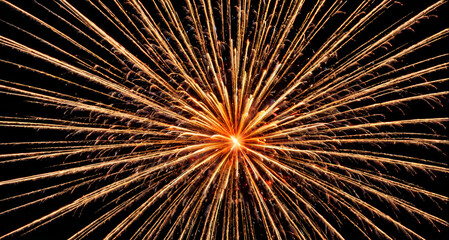 fireworks in the sky