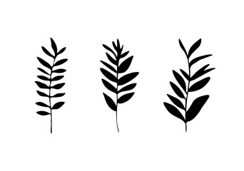 Set of black plants and branches on white background. Design for clip art, printing and postcards. Beautiful minimalistic ornament for brushes and stamps.